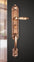 Future Tech Anti-theft door lock