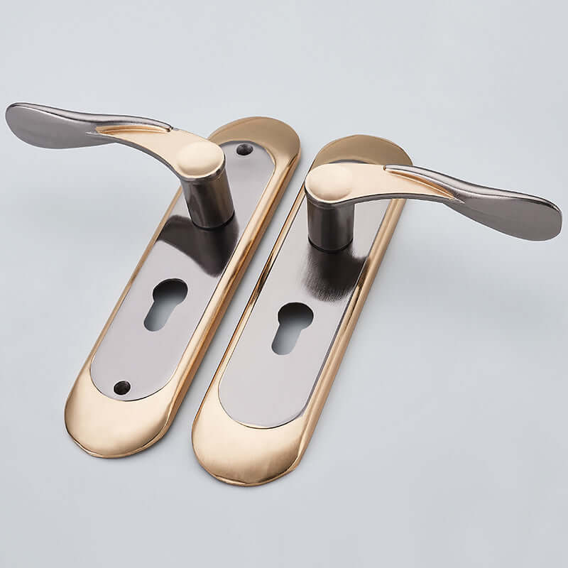 Future Tech Aluminum Alloy Indoor Room Door Lock S