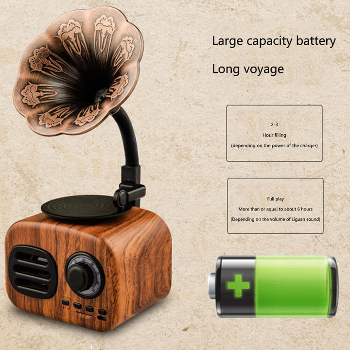 Future Tech Retro gramophone portable bluetooth speaker