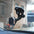 Future Tech Car phone holder Magnetic car holder for battery holder