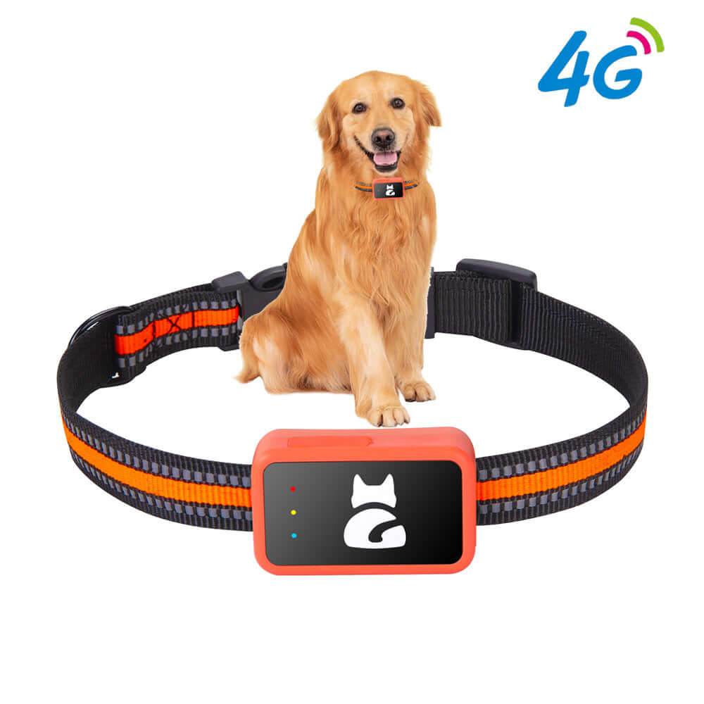 Future Tech GPS Locator Pet Collar Dog Cat Animal Anti-lost 